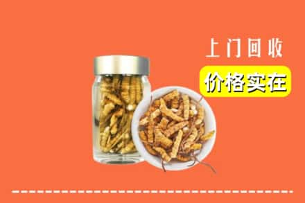 渭南市临渭回收散虫草