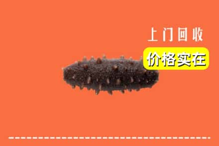 渭南市临渭回收海参