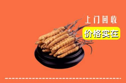 渭南市临渭回收冬虫夏草